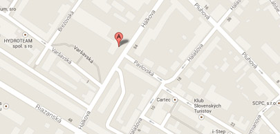 Google Map